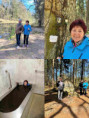 /album/fotogalerie-/vysocina-0003-jpg/